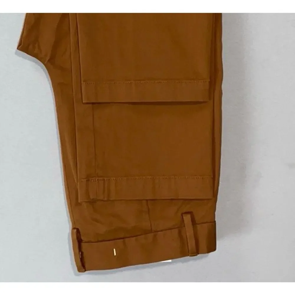Banana Republic New Straight RMC Rapid Movement Chino in Potter's Clay. 29X29.